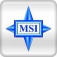 MSI
